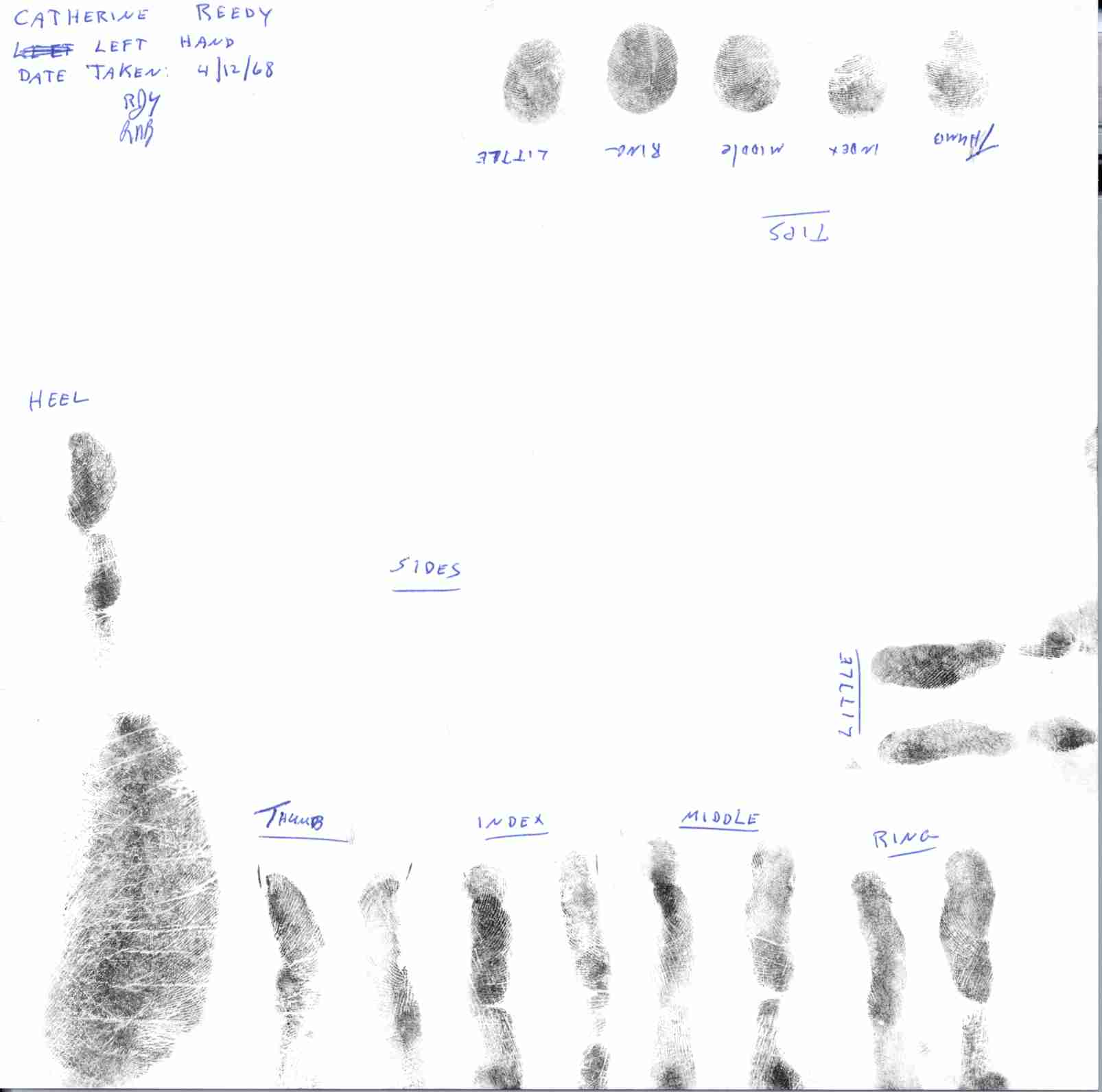 catherine reedy left side fingerprints.jpg